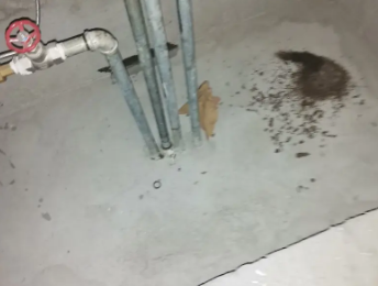 涞源卫生间测漏水价格明细