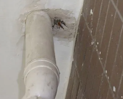 涞源漏水检测哪家好